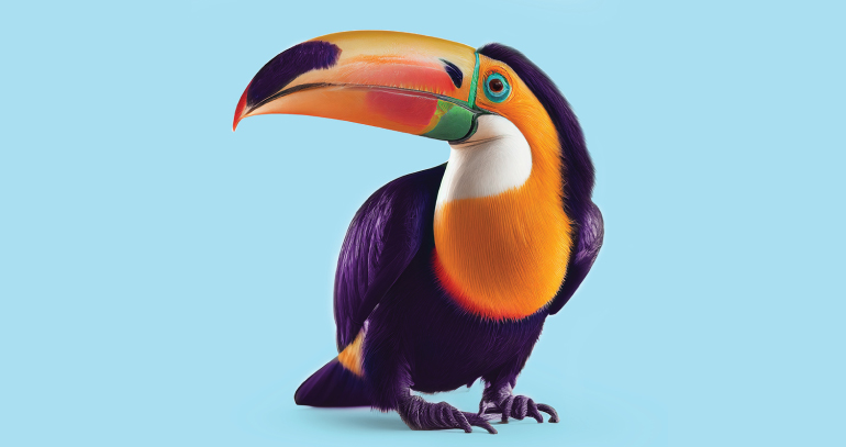 toucan elements of brand storytelling
