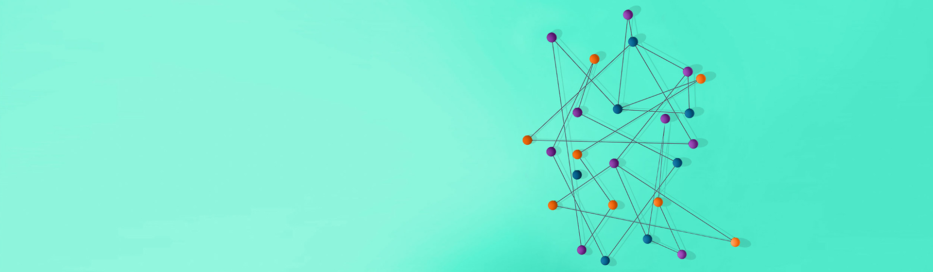 Web Development Agency Houston