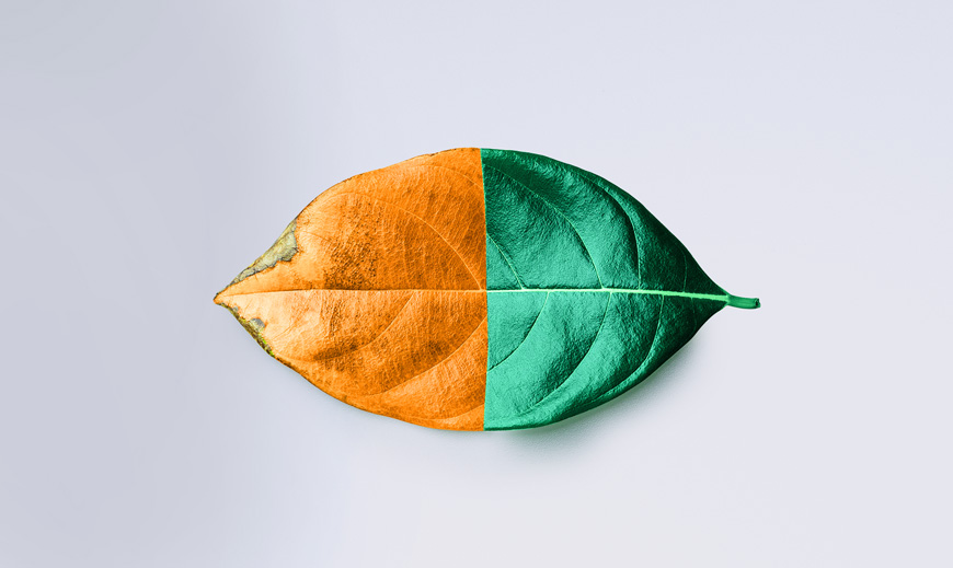 Rebranding Positions Your Business for Growth