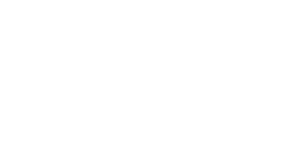 Nexus Health Systems Logo