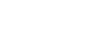 The Spot Logo White